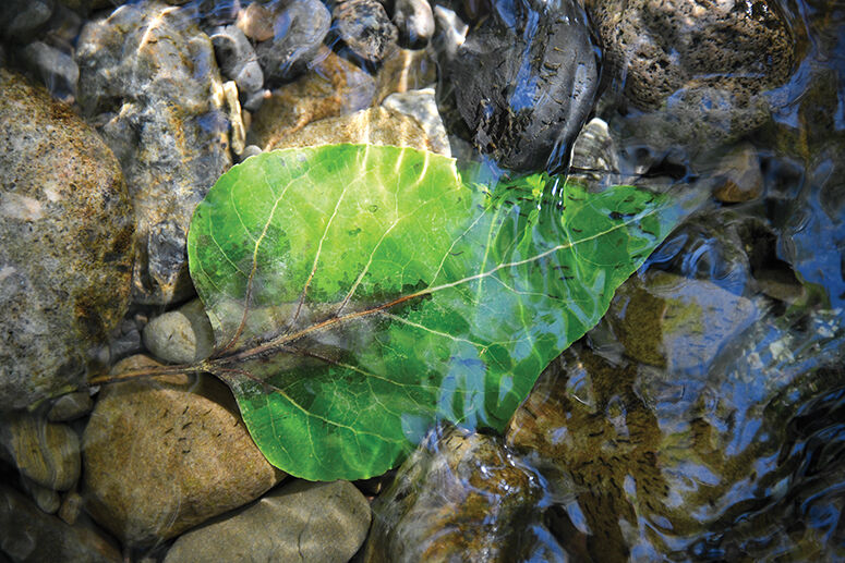 The Big Wood River